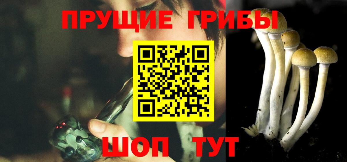 Галлюциногенные грибы GOLDEN TEACHER  Псилоцибиновые грибы Psilocybe  Жигулёвск  Вход с VPN 