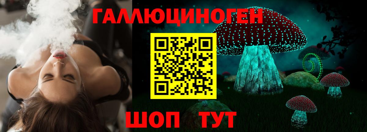 Галлюциногенные грибы Psilocybine cubensis Жигулёвск